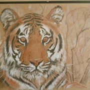 P1000067_card
