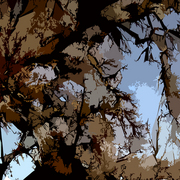 Sleepy_hollow_painting_card