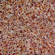Aurea_0_card