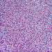 Carnaval_0_square