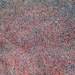 Segunda_0_square