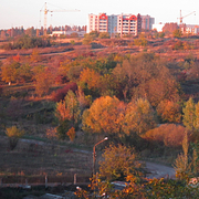 Img_3903_card