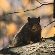 Img_9524a_card