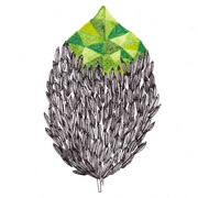 Naturalgeometric_1_card