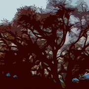 Treed_card