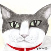 Img073_card