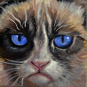 Cat2_card