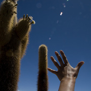 Img_6376v1_card