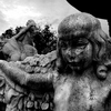 Cmafountainsmallbw_thumb
