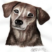 1dog1_card