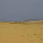 Img_6722v1_card