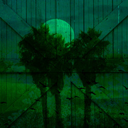 Spookygreenmoonsmall_card