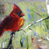 Red_birdred_bird_thumb