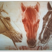 Dry_point_920mmx637_pojilo_card