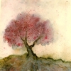 007_big_tree_thumb