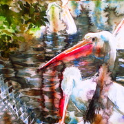 P1010707_card