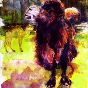 P1010825_card