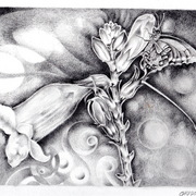 Img077_card