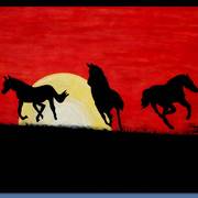 Wild_horses_card