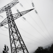 Aau_card