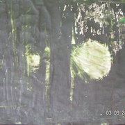 Pict3647_card
