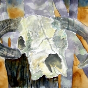 Cow_skull_small_card