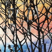 Frosty_vineyard_sunrise_card
