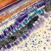 Strata___14_thumb
