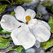 Magnolia_flower_painting_small_card