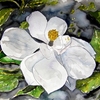 Magnolia_flower_painting_small_thumb
