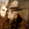 Stuck_in_the_past_01_thumb