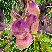 Mango_tree_painting_small_card