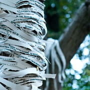 Tree3_card