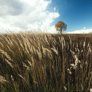 Img_0281_card