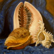 Shell_royality_card