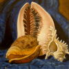Shell_royality_thumb