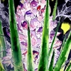 Yucca_flower_small_thumb