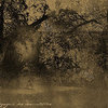 A__fine_and_private_pace_by_dofaust_thumb