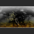 Tree_1a_tiny_square