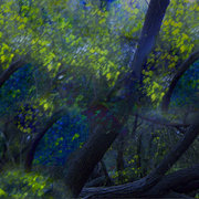 Mountains_in_spring_card