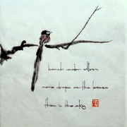 Sankochou_1_card