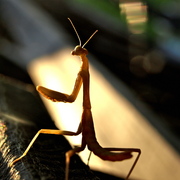 P8132252_card