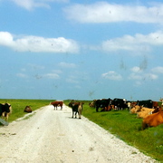 20120502_154409_card