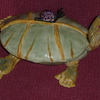 2012-11-01_14