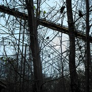 Bridge_to_nowhere_card
