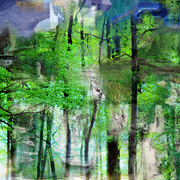 Rt_trees_card