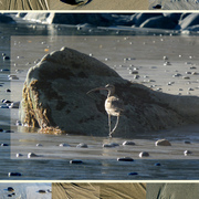 Beachshots_copysmall_card