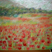 Sam_7660_card