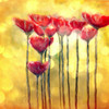 Poppies_in_yellow_thumb