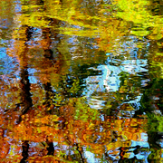 Autumn_pond_card